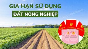 Gia Han Su Dung Dat Nong Nghiep