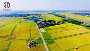 Thoi Han Su Dung Dat Nong Nghiep 4693