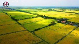 Dat Nong Nghiep Het Thoi Han Su Dung Co Ban Duoc Khong 4850