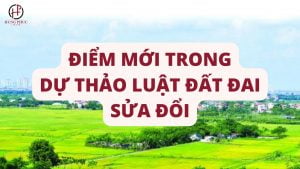 ĐiỂm MỚi Trong DỰ ThẢo LuẬt ĐẤt Đai SỬa ĐỔi