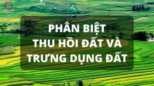 PhÂn BiỆt Thu HỒi ĐẤt VÀ TrƯng DỤng ĐẤt