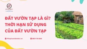 Đất vườn tạp và thời hạn sử dụng của đất vườn tạp