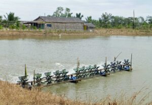 Đất ao có tách thửa được không