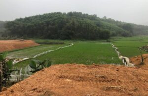 Tự ý san lấp đất nông nghiệp bị xử phạt thế nào?