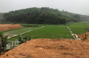 Mức phạt đối với hành vi tự ý san lấp đất nông nghiệp