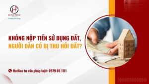 Không nộp tiền sử dụng đất, người dân có bị thu hồi đất?