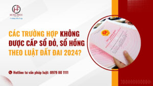 Các trường hợp không được cấp sổ đỏ, sổ hồng theo Luật đất đai 2024?