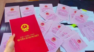 Luật Đất Đai 2024: Chỉ giao đất cho hộ gia đình trong 01 trường hợp
