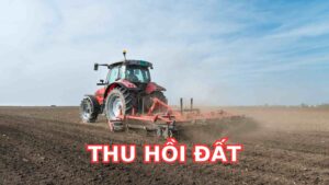 Thu Hoi Dat