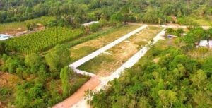 Tiền sử dụng đất khi chuyển mục đích sử dụng đất từ trồng cây lâu năm sang đất ở