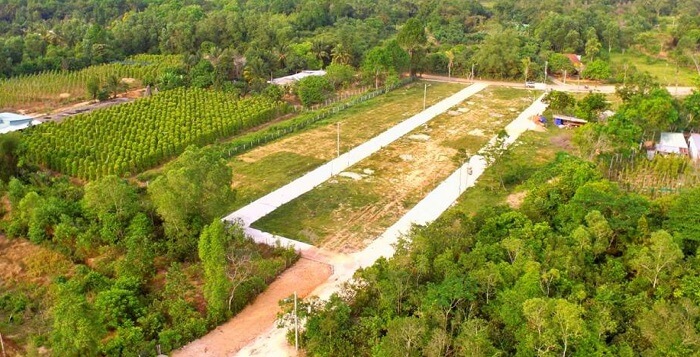 Tiền sử dụng đất khi chuyển mục đích sử dụng đất từ trồng cây lâu năm sang đất ở