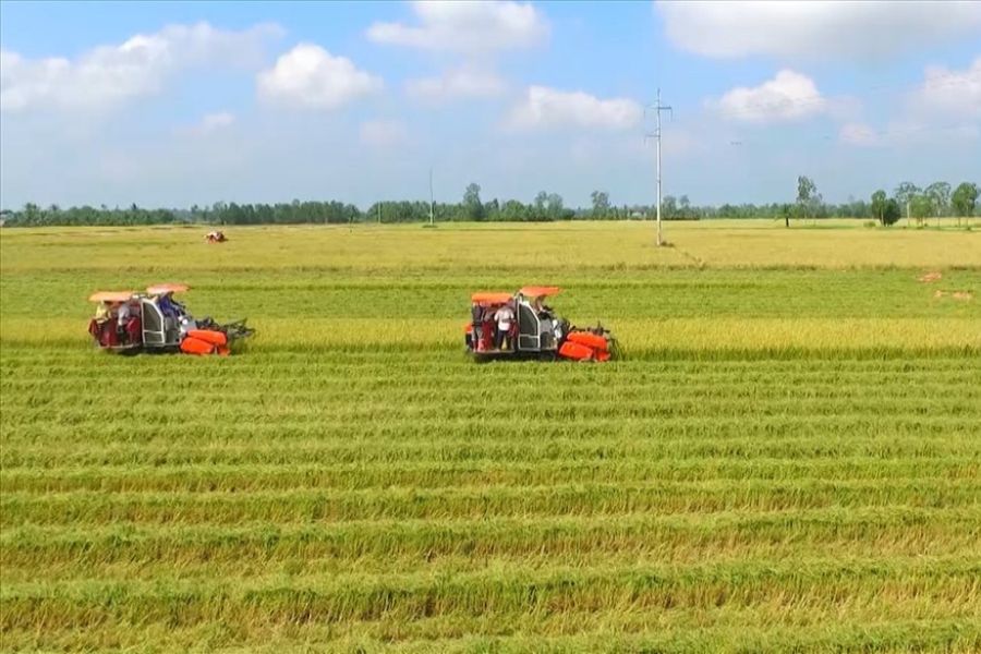 Thủ tục gia hạn sử dụng đất nông nghiệp 2025