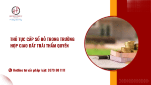 Thủ Tục Cấp Sổ đỏ Trong Trường Hợp Giao đất Trái Thẩm Quyền