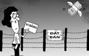 Rủi Ro Khi Mua Nhà, đất Thông Qua Vi Bằng