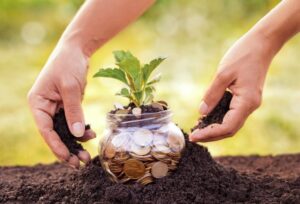 Chính Sách Giảm Tiền Thuê đất 2026 Hướng Dẫn Chi Tiết Thủ Tục