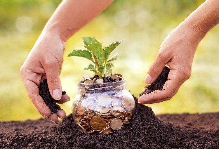 Chính Sách Giảm Tiền Thuê đất 2026 Hướng Dẫn Chi Tiết Thủ Tục