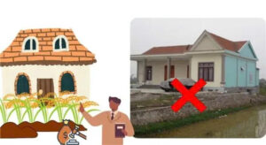 Hướng Dẫn Xử Phạt Hành Chính Hành Vi Sử Dụng đất Không đúng Mục đích Theo Công Văn 1410 Mới Nhất